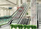 1000 मिमी सबवे 2 कैस्केड 0.5 मीटर शॉपिंग मॉल एस्केलेटर पेंच प्रकार लिफ्ट