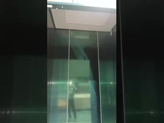 यात्री व्यक्तिगत विला लिफ्ट 3 मंजिल बाहरी इनडोर लिफ्ट लिफ्ट